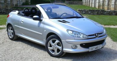Peugeot 206 CC (2000-2002) – skrzynka bezpieczników 3